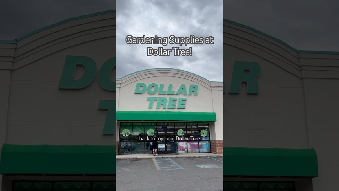 🪴 Gardening Supplies at Dollar Tree! #garden #gardening #dollartree #homesteading