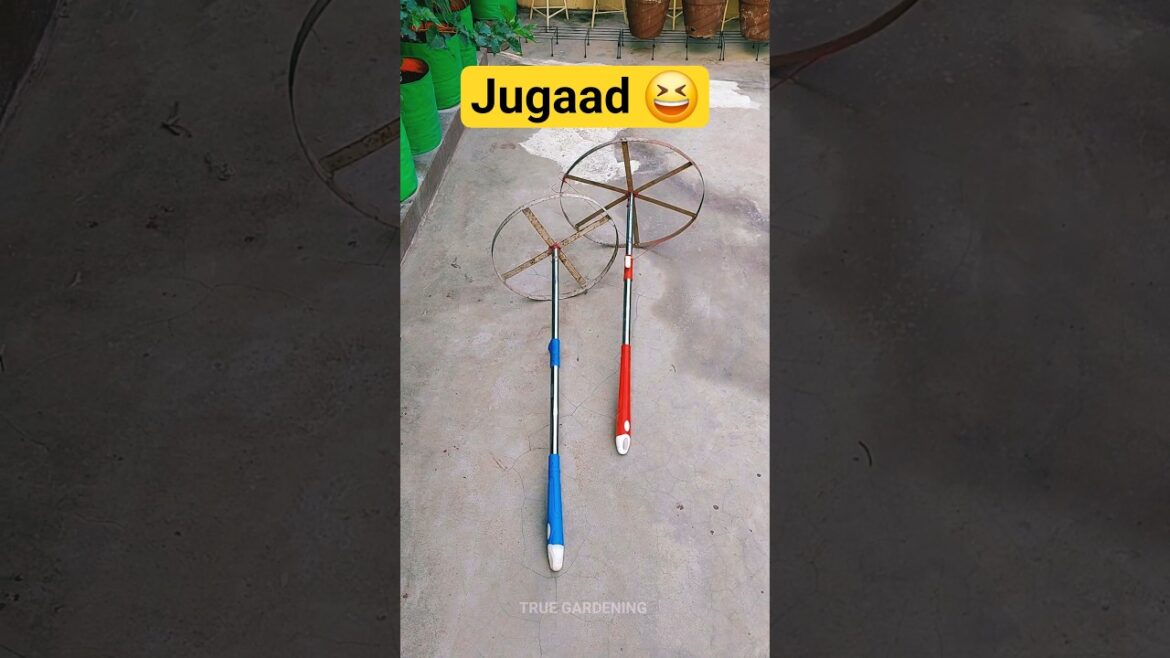 Conceptless Video 😒 #jugaad #gardeningideas #diycrafts #diyprojects #gardeningtips