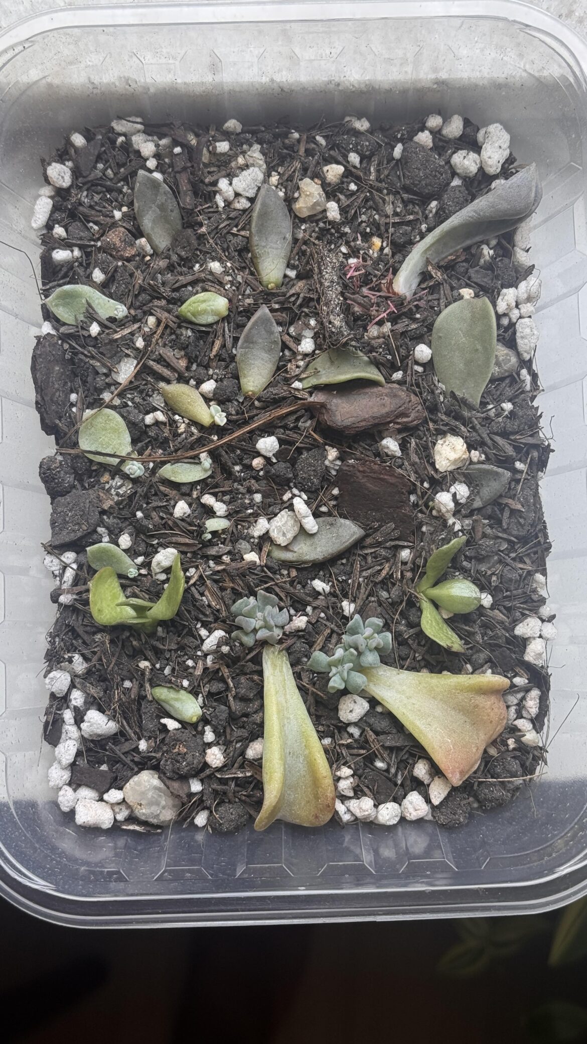 Should I moisten the nursery?