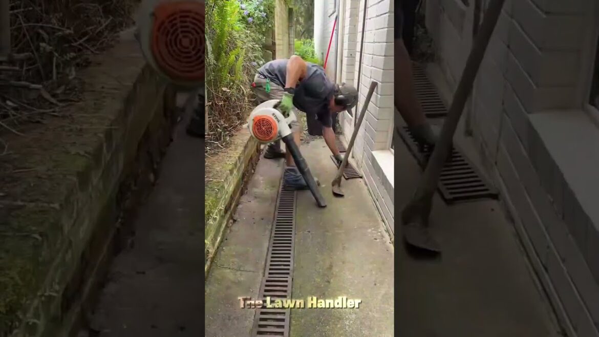 Cleaning | Pressure Washing | Landscaping #shorts #satisfying #gardening Cleaning | Pressure Washing | Landscaping #shorts #satisfying #gardening