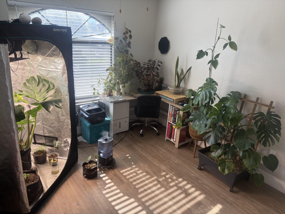 Welcome to my Lab an Safe Space 🫶🏼