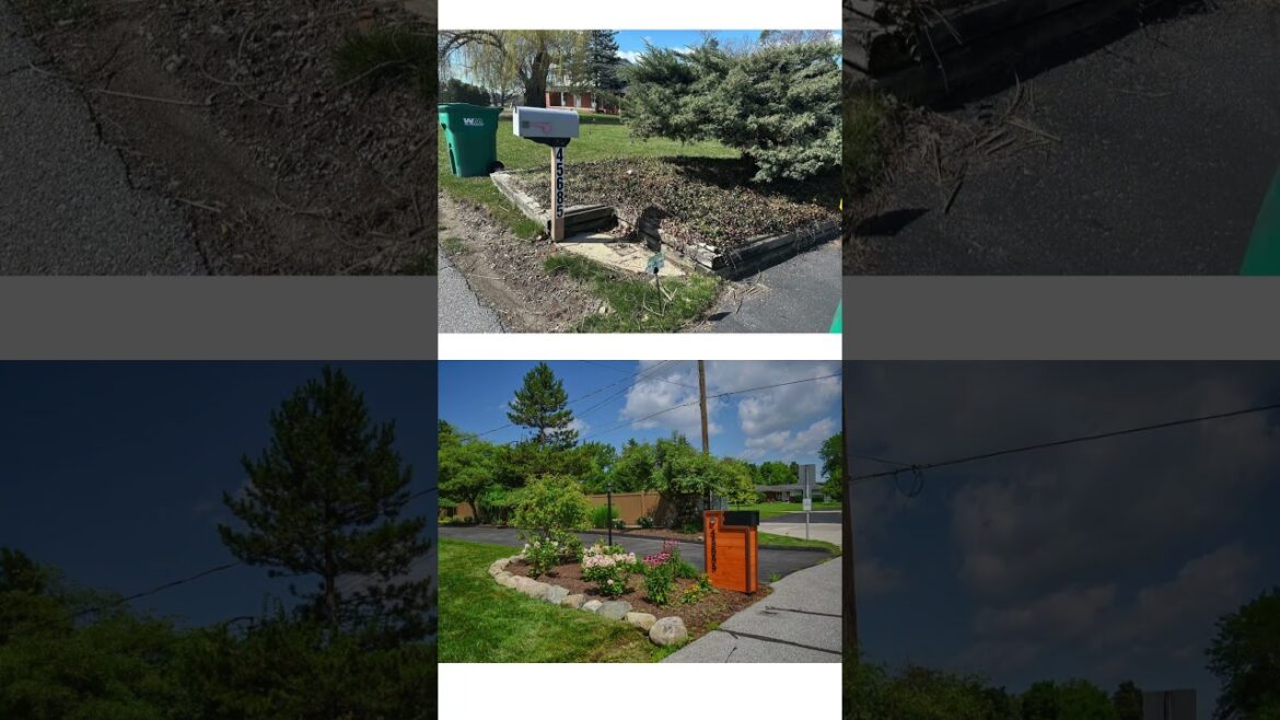 Landscape Before & After