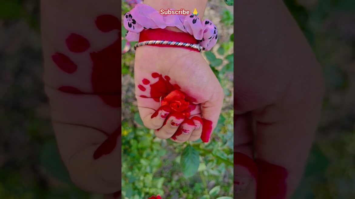ফুল নিয়ে টিকটক #gardening #youtubeshorts #UpdateGardening #garden #youtubeshort #flowers #rose