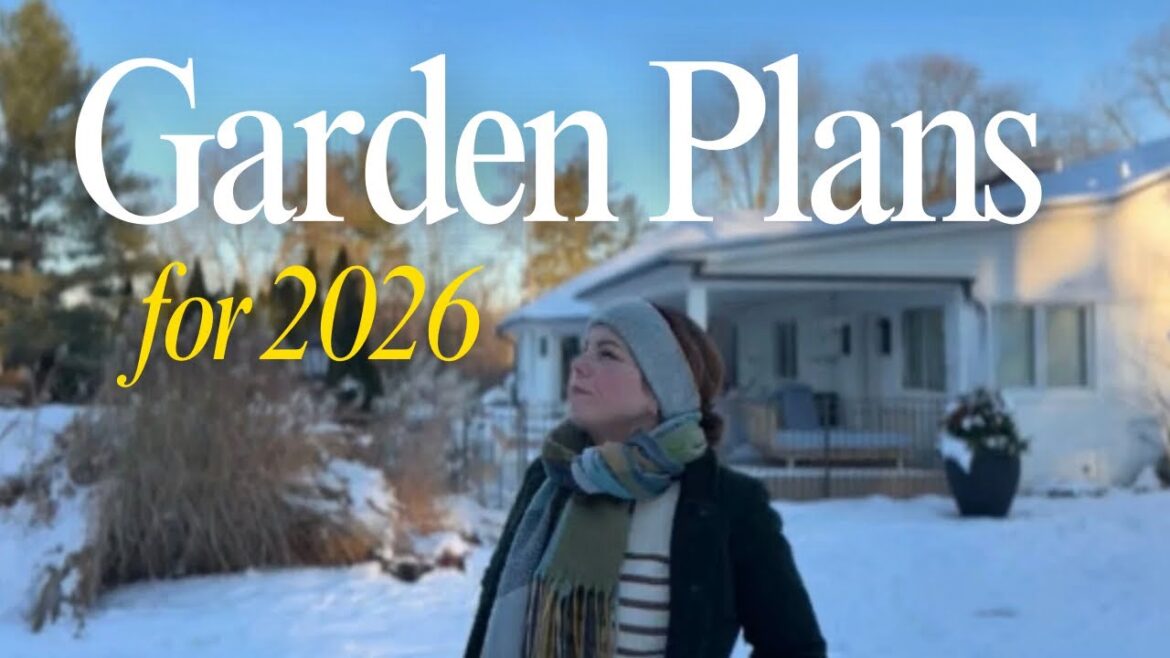 Garden Plans for 2026