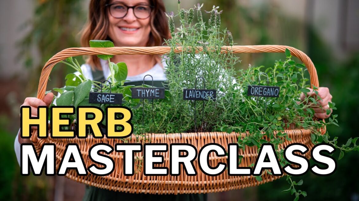 GROW HERBS in Hot Climates: Top 10 Tips for a Thriving Herb Garden GROW HERBS in Hot Climates: Top 10 Tips for a Thriving Herb Garden