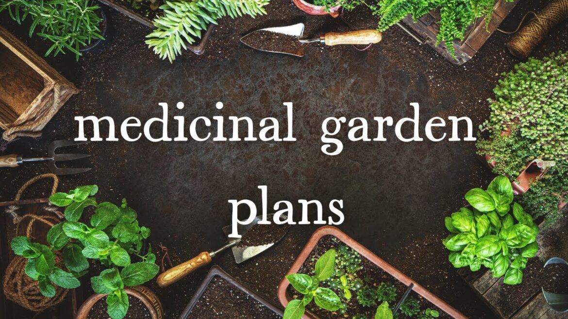 Medicinal Garden Plans. Soil Health, what I'm planting and why I'm frustrated.
