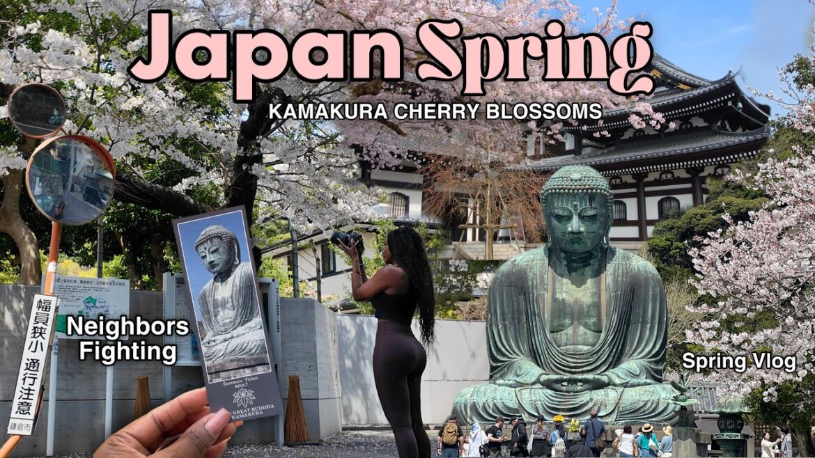 🌸HELLO SPRING🌸 JAPANS CHERRY BLOSSOM SEASON New Business, Vegetable Gardening, Getting Prepared