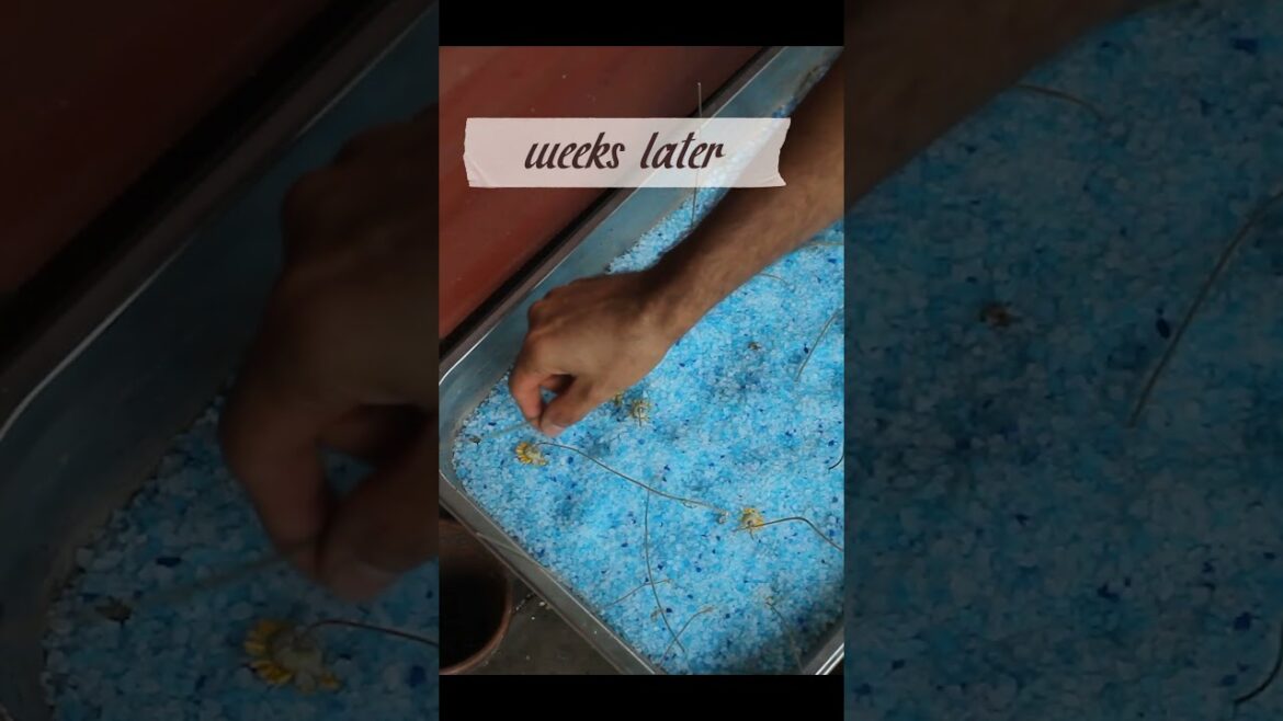 Using Cat Litter for Christmas DECOR! #vintage #diy