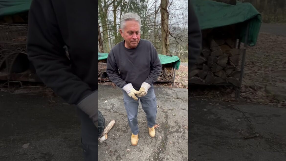 Rancher is back part 2! #4wheeler #hondarancher