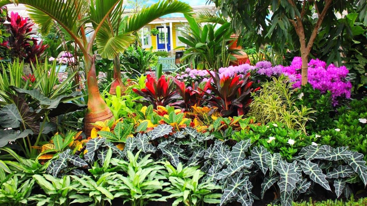 FRONT YARD TROPICAL GARDEN DESIGN IDEAS | EXOTIC GARDEN LANDSCAPE IDEAS WITH PALM TREES & FLOWERS FRONT YARD TROPICAL GARDEN DESIGN IDEAS | EXOTIC GARDEN LANDSCAPE IDEAS WITH PALM TREES & FLOWERS