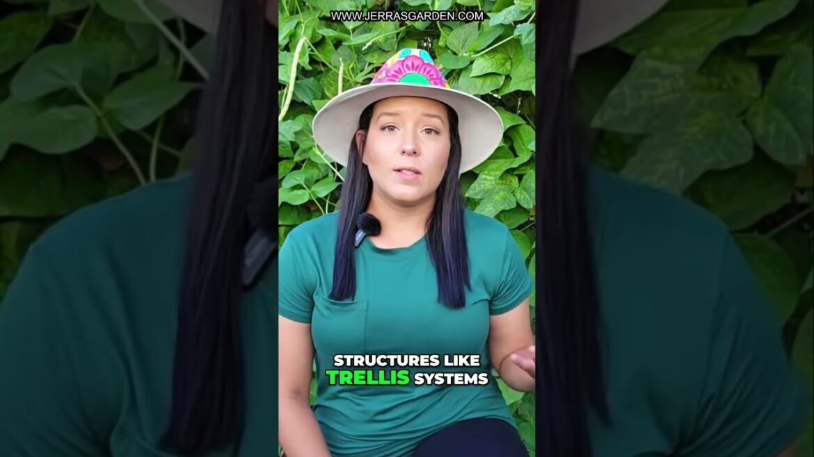 How To Plan & Map Your Garden Layout