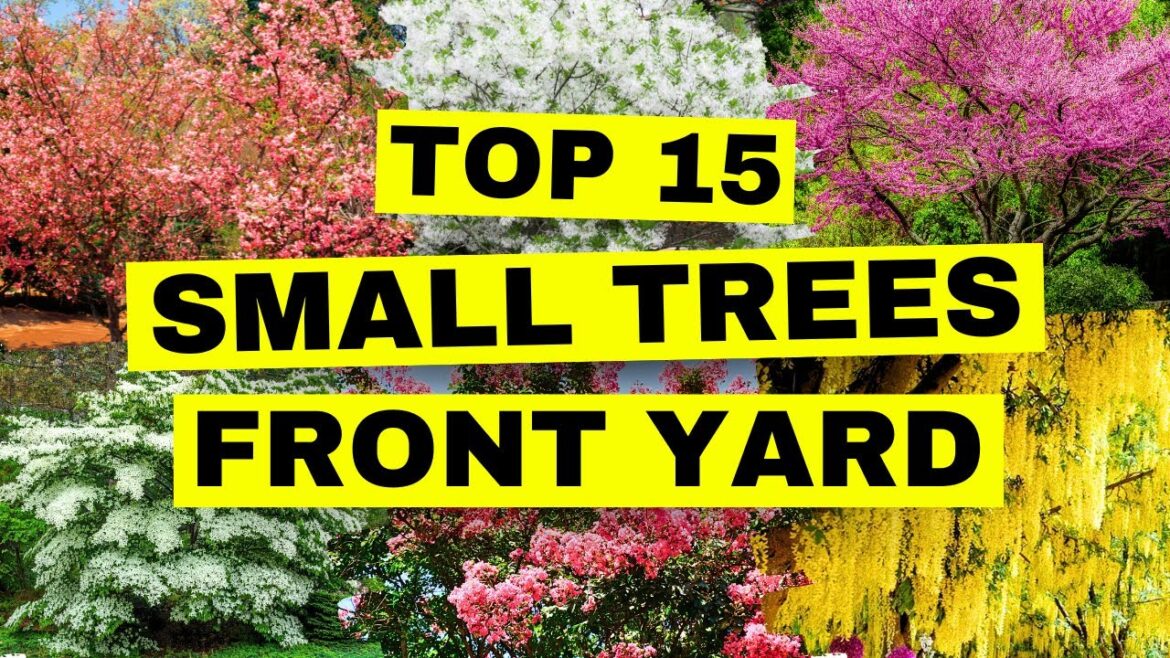15 BEST Small Trees for a Stunning Front Yard Makeover! 15 BEST Small Trees for a Stunning Front Yard Makeover!