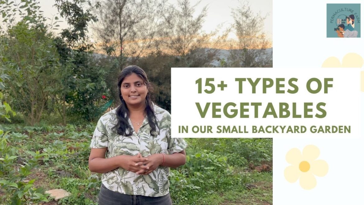 Full garden tour: 15+ vegetables in small backyard garden