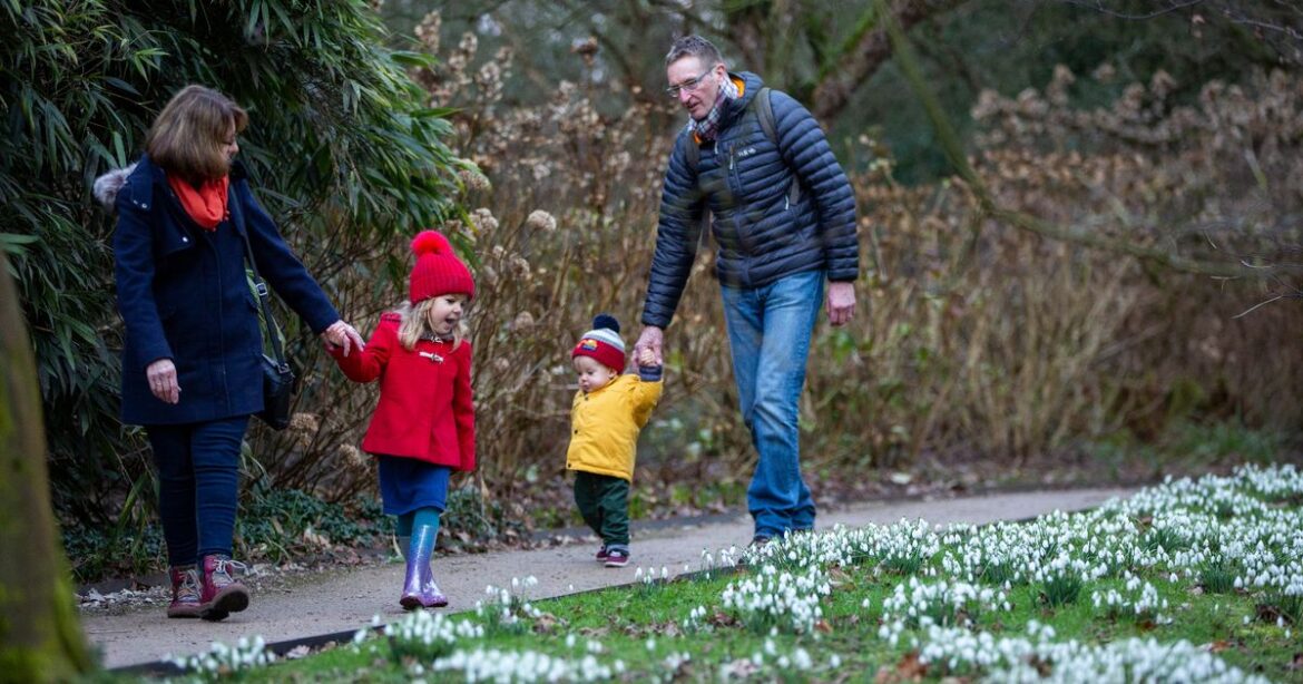The Greater Manchester garden named the best for a family day out this winter Manchester Evening News
