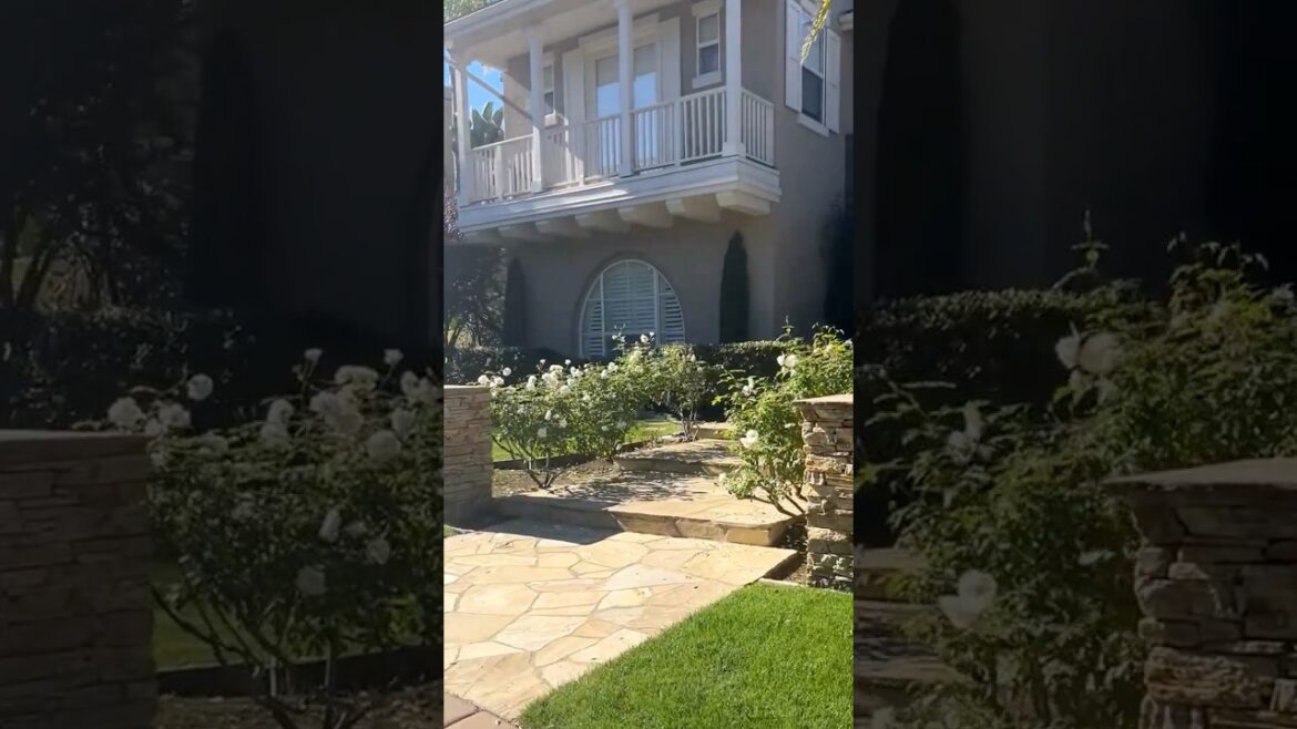 Beautiful Walkway Flanked by White Iceberg Roses | Front Yard Curb Appeal Inspiration