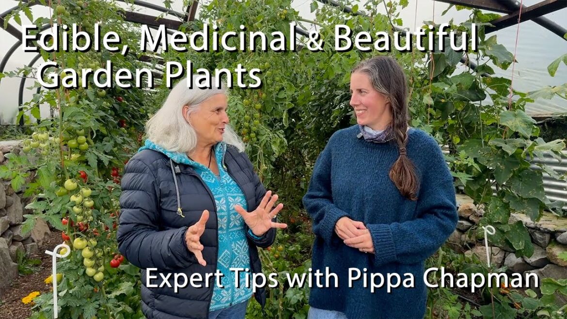 Grow Edible, Medicinal and Beautiful Garden Plants – Expert Tips from Pippa Chapman