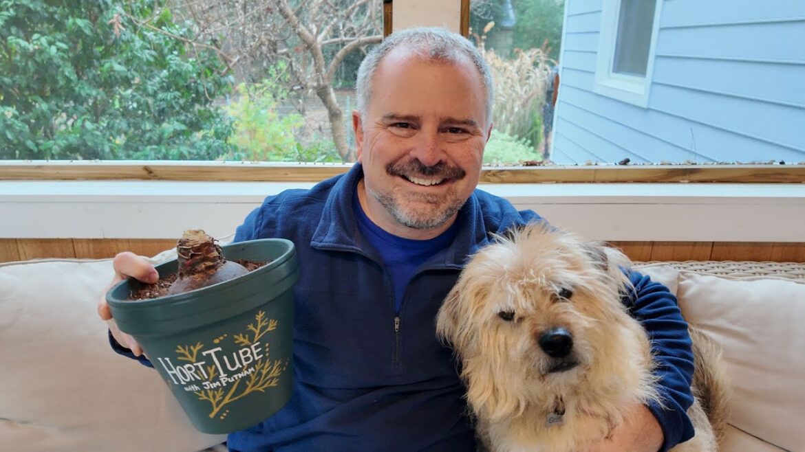 Kickstarting Next Year’s Garden: Seed Starting Plans & Amaryllis Bulbs