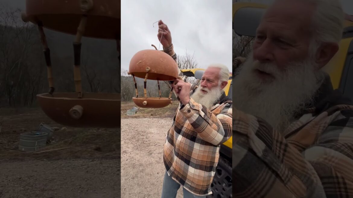 New Bird Feeder, part 1 #birds