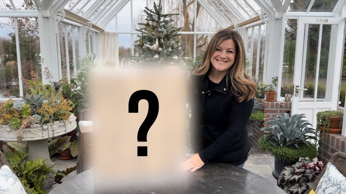 The New Thing We Were Excited to Talk About 😍🪴💚