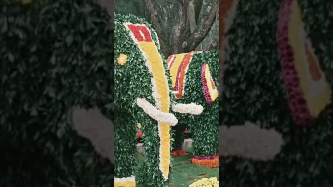 Flower Show @Cubbon Park Flower Show @Cubbon Park