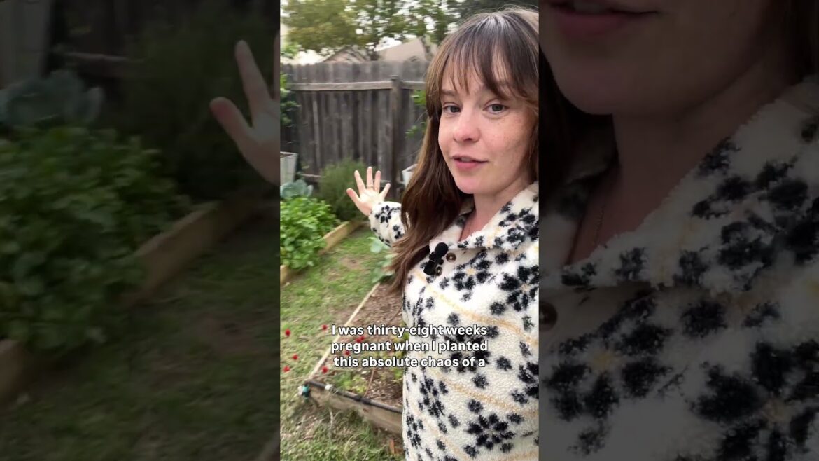 I love tomato season but the fall and winter garden really is vying for my heart #backyardgarden I love tomato season but the fall and winter garden really is vying for my heart #backyardgarden