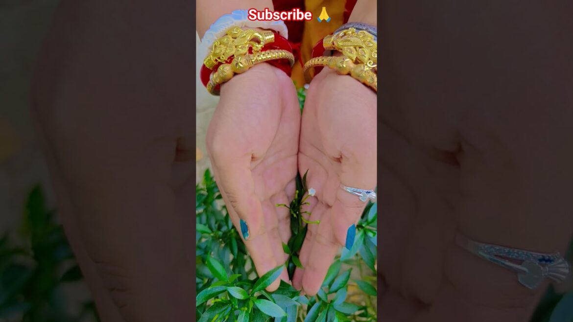 ফুল নিয়ে টিকটক #gardening #youtubeshorts #UpdateGardening #garden #youtubeshort #flowers #rose