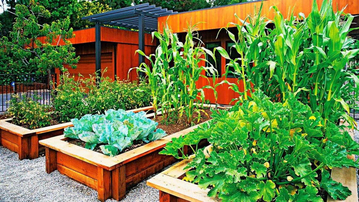 WONDERFUL! EDIBLE GARDEN FOR SMALL BACKYARD IDEAS | TIPS to Grow TONS of HEALTHY Food in Tiny SPACE! WONDERFUL! EDIBLE GARDEN FOR SMALL BACKYARD IDEAS | TIPS to Grow TONS of HEALTHY Food in Tiny SPACE!