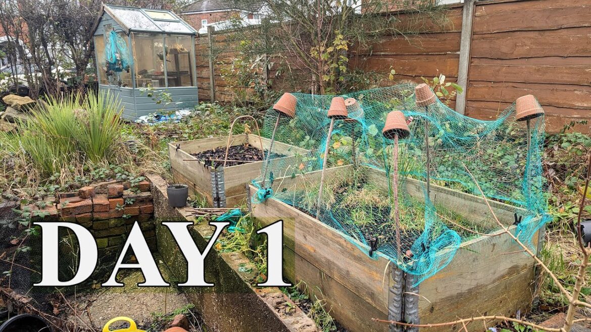 New Garden Tour! | Plans and Design For A UK Garden Makeover