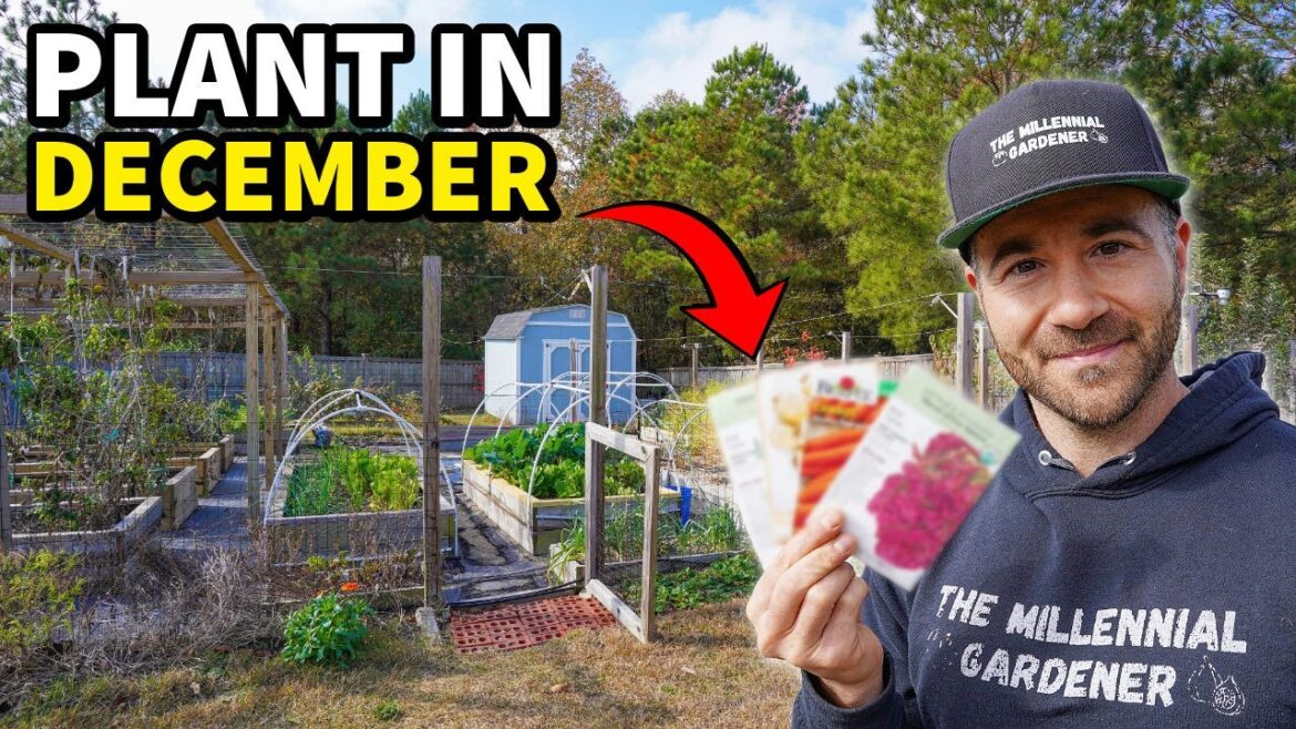 10 Veggies You'll Regret NOT Planting In December RIGHT NOW!
