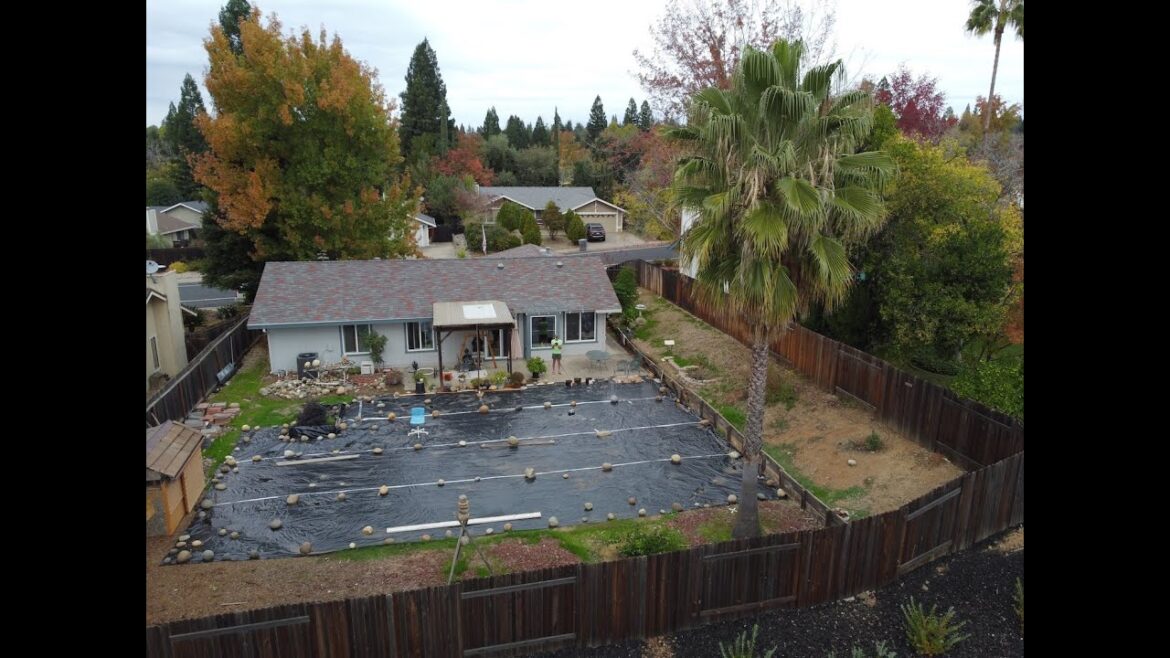 Need Backyard Landscape Ideas