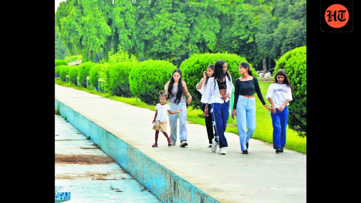 Ludhiana: Senior deputy mayor seeks review of Rose Garden facelift tender Ludhiana: Senior deputy mayor seeks review of Rose Garden facelift tender