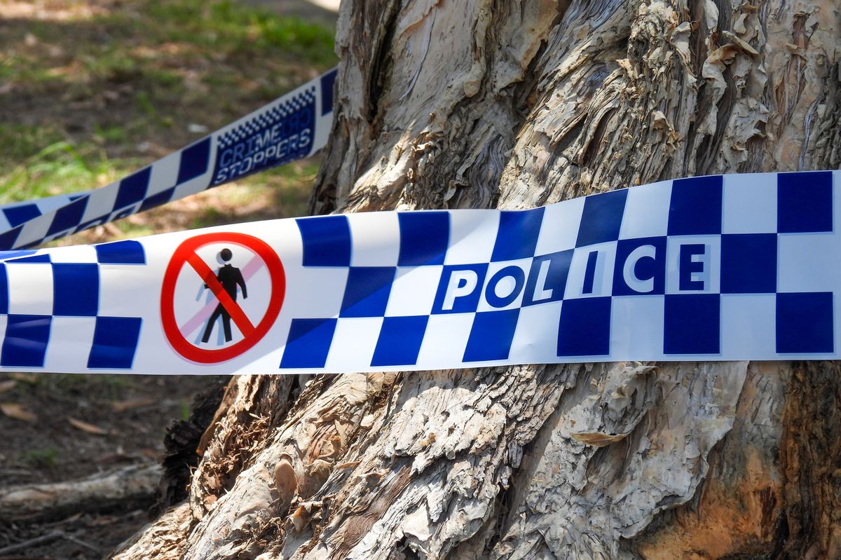 Police tape round a tree