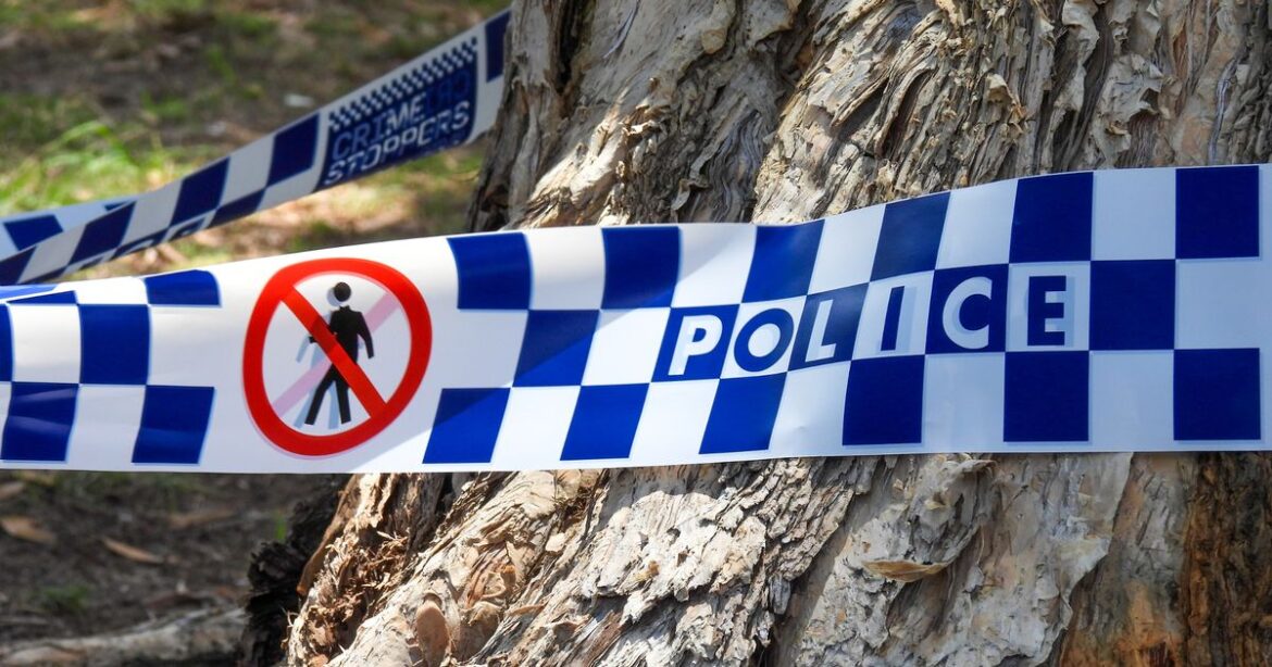 Toddler remains found buried in back garden after child disappeared over a decade ago Daily Mirror