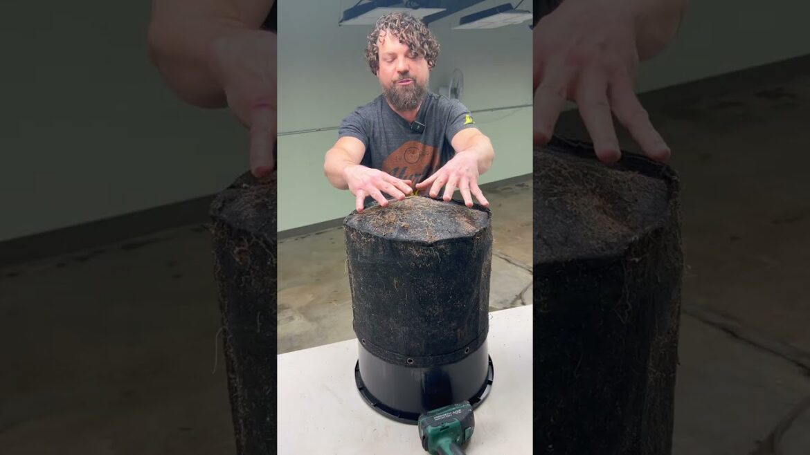 Best Way to Clean AC Infinity Fabric Pots After a Grow!