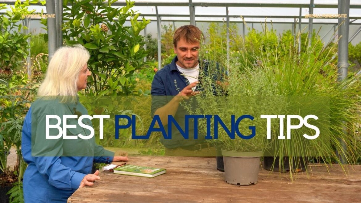 Jamie Butterworth on designing borders that flourish Jamie Butterworth on designing borders that flourish