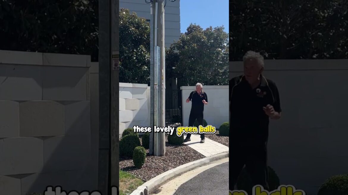 A Simple Way to Make Your Front Garden Look Classy.🥰✨