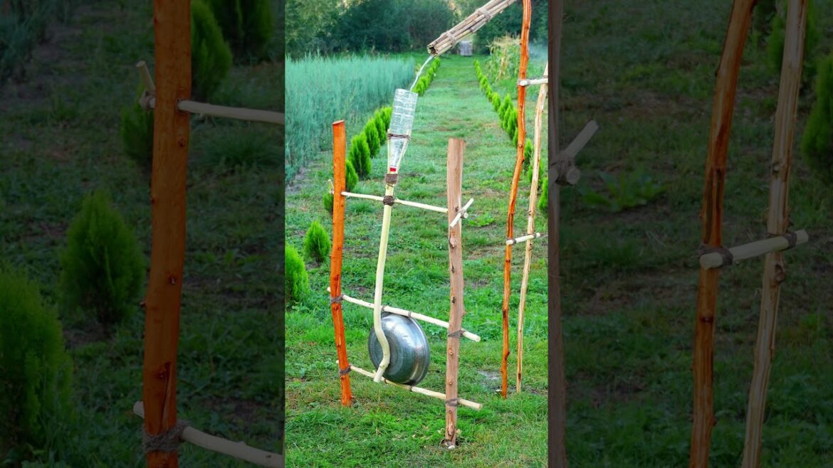 DIY Bird Repeller for Your Garden (Works Great!) #shorts #diy #skills #tips DIY Bird Repeller for Your Garden (Works Great!) #shorts #diy #skills #tips