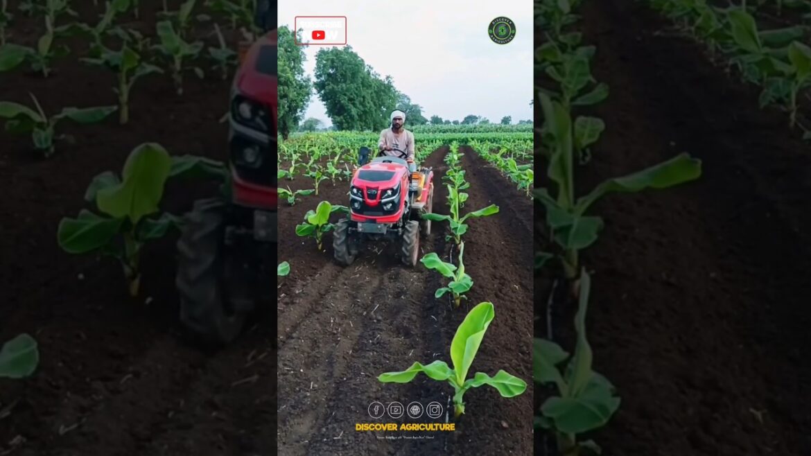 Amazing Mini-Tractor Machine