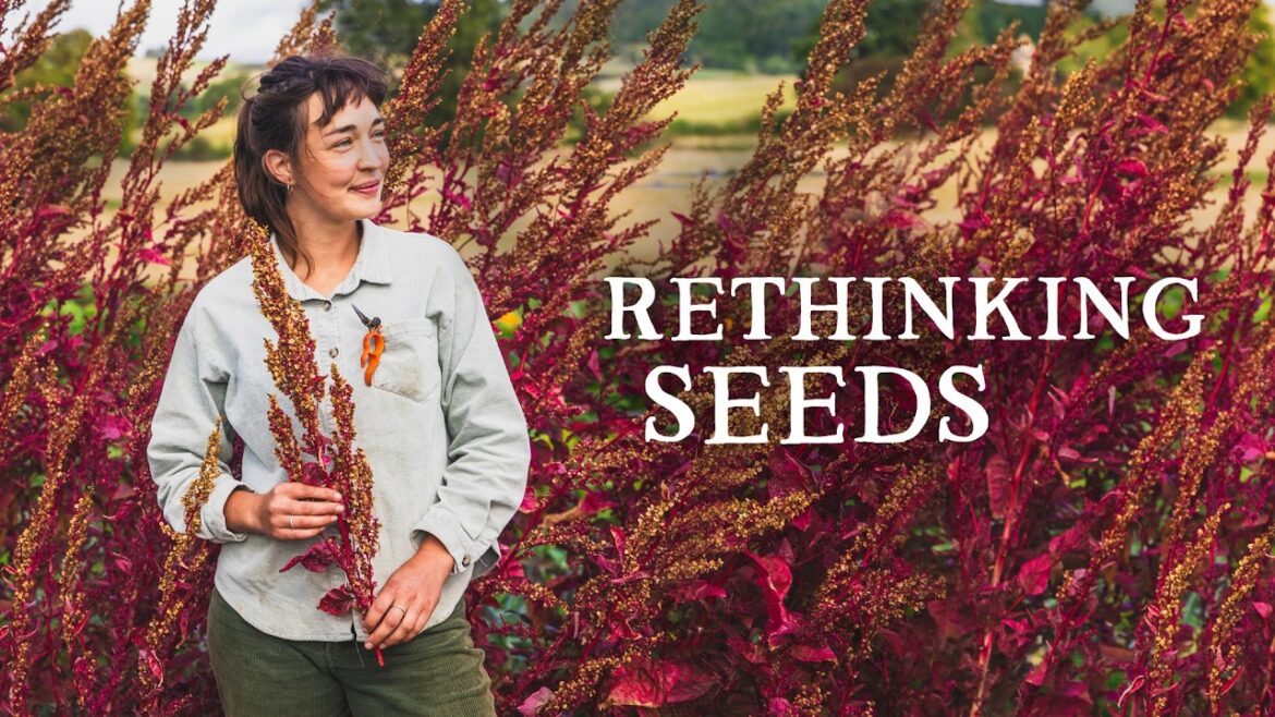 This Seed Company Is Rethinking How Seeds Are Produced