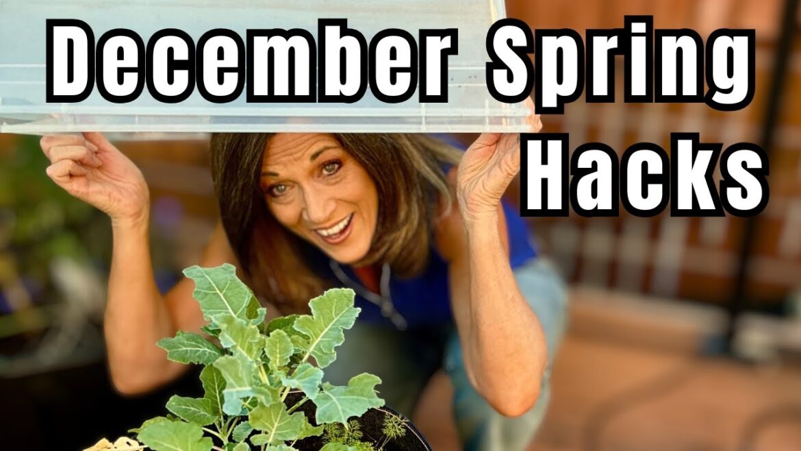 CaliKim: 4 December Hacks for Your Best Spring Garden 4 December Hacks for Your Best Spring Garden