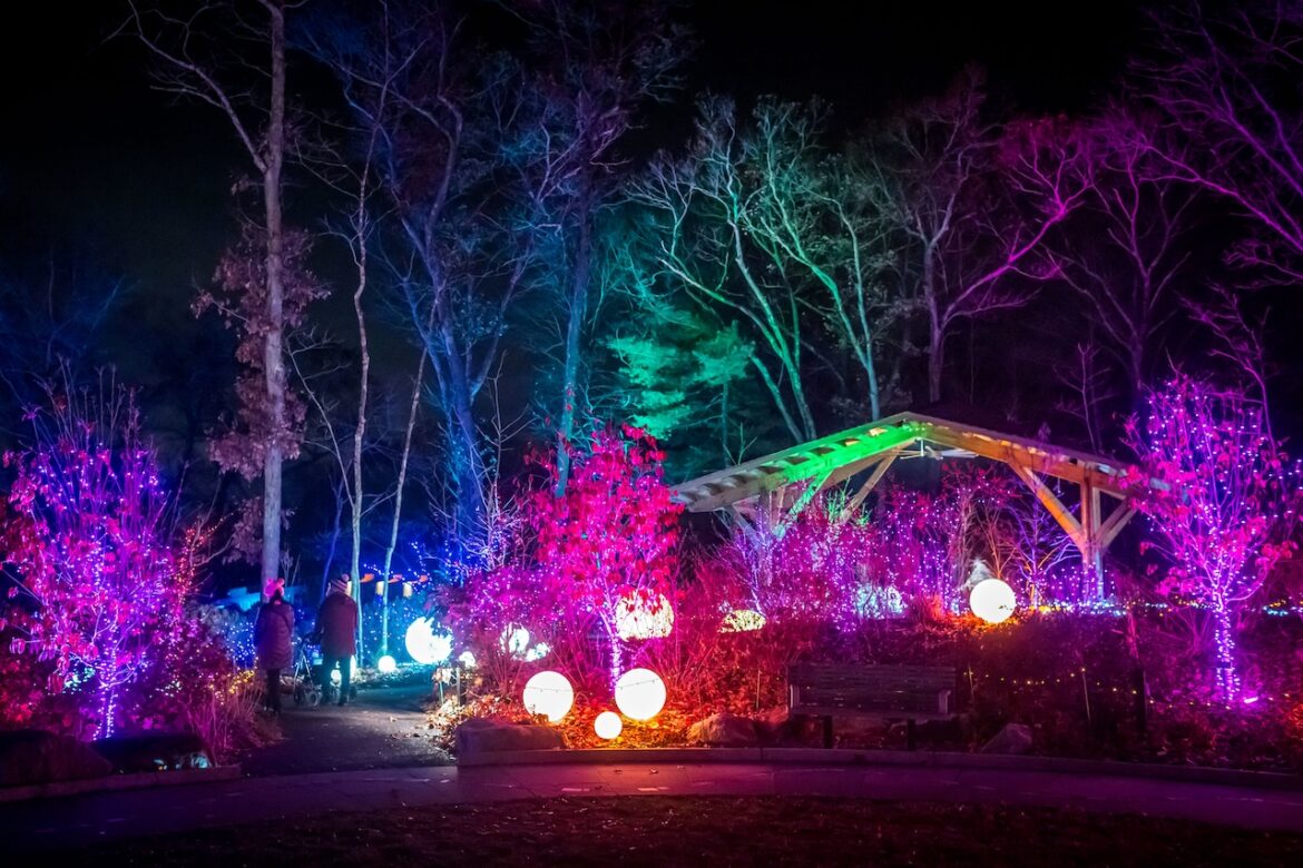 Night Lights at New England Botanic Garden in Boylston voted best in the nation Night Lights at New England Botanic Garden in Boylston voted best in the nation