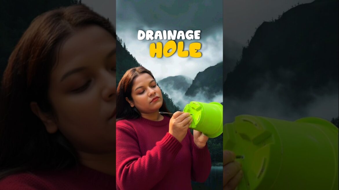 পাত্রে ফুটো করে আবার ঢেকে দাও কেনো? 😭🌵 #shorts #minivlog #bengali #lifestyle #gardening