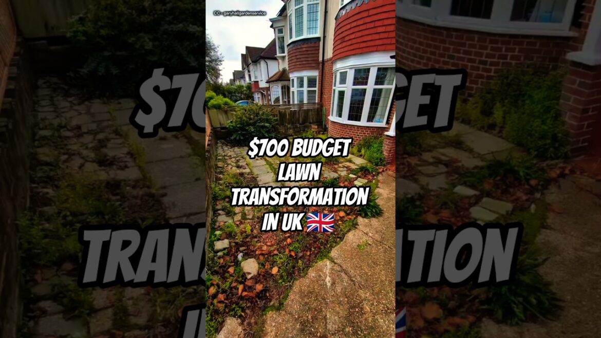 Coastal Garden Restored for Elderly Owners in England ✨