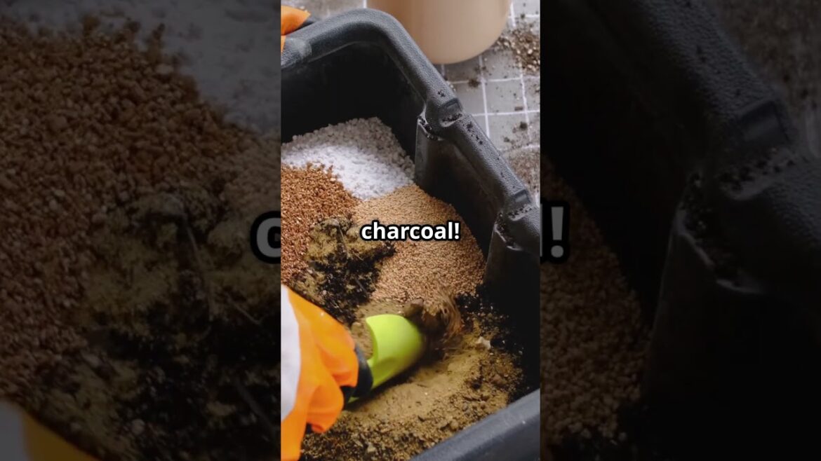 Unboxing an Orchid Potting Mix (Forbidden Trail Mix?) #containergardeningtips #containergardening Unboxing an Orchid Potting Mix (Forbidden Trail Mix?) #containergardeningtips #containergardening
