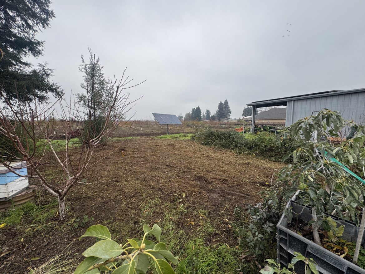 It’s amateur hour - need advice