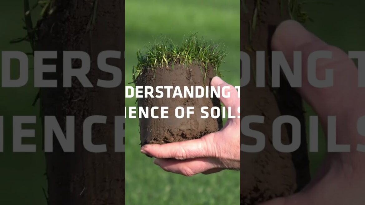 Soil Test Showdown: Grow Bigger Plants! (Potting Soil Comparison) Full Video Linked in Comments