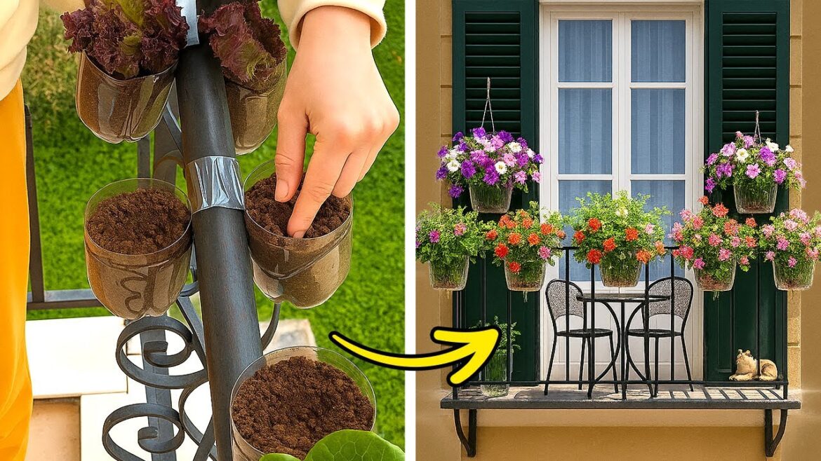 Winter Mistakes That Could Harm Your Houseplants! ❄️