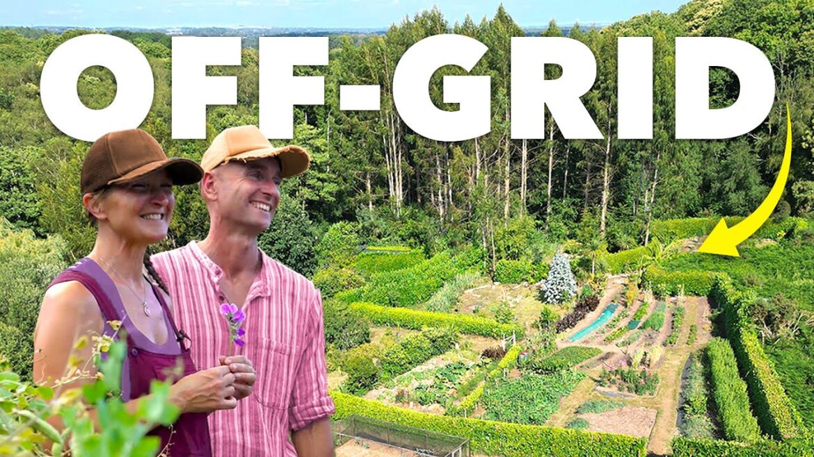 They Bought an Abandoned Plot and Grew THIS (80% Self-Sufficient)