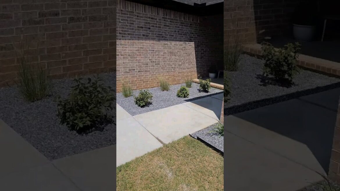 Arizona Vibe Landscaping! #Landscaping #Lawncare