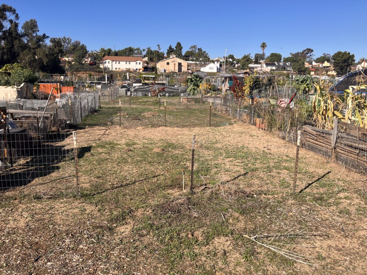 What would you do with this plot?